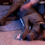 %name%, a %color% %breed% %type%